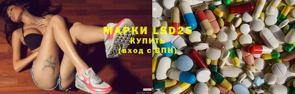 ПСИЛОЦИБИНОВЫЕ ГРИБЫ Дмитриев