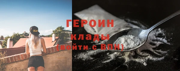 ПСИЛОЦИБИНОВЫЕ ГРИБЫ Дмитриев