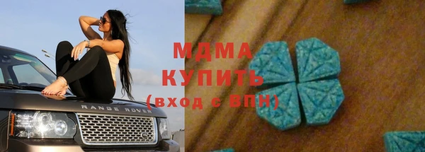 ПСИЛОЦИБИНОВЫЕ ГРИБЫ Дмитриев