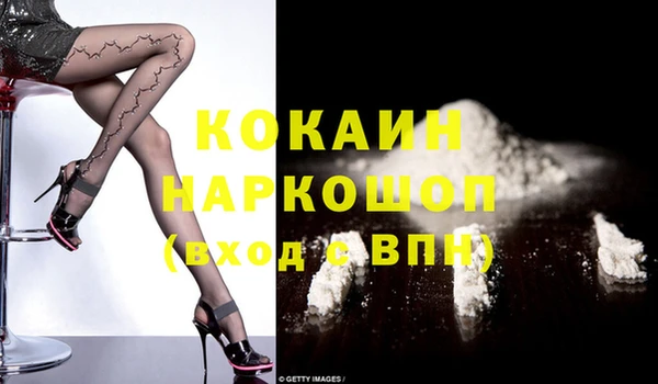ПСИЛОЦИБИНОВЫЕ ГРИБЫ Дмитриев