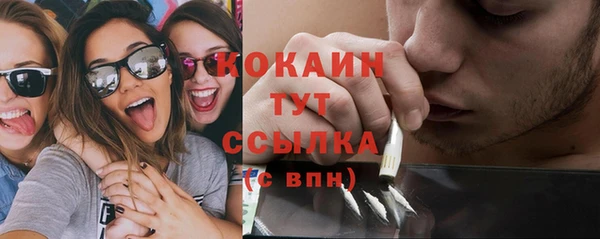 ПСИЛОЦИБИНОВЫЕ ГРИБЫ Дмитриев