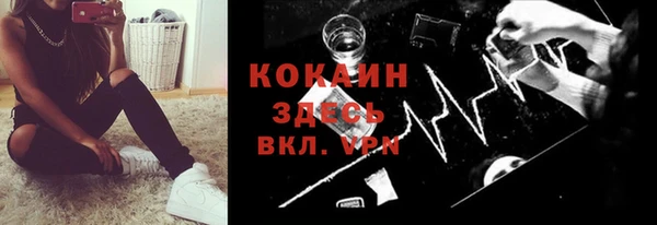 ПСИЛОЦИБИНОВЫЕ ГРИБЫ Дмитриев