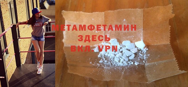 ПСИЛОЦИБИНОВЫЕ ГРИБЫ Дмитриев