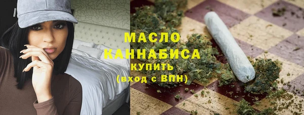 ПСИЛОЦИБИНОВЫЕ ГРИБЫ Дмитриев